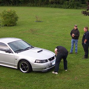 Keeping the Car nice and Pretty.