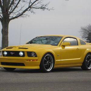 JUST FINISHED THE WINTER PROJECT