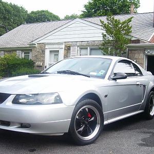 stang 004