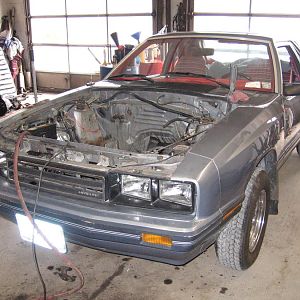 Waiting patiently for the transplant!