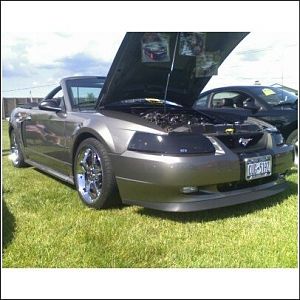 2009 WNY Shelby Club Ford Show