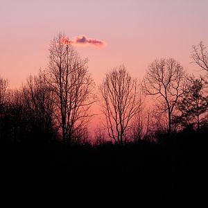 Sunset in N.C. 02/25/2010