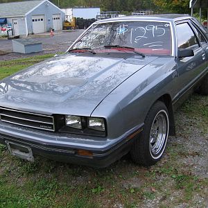 It was love at first site!