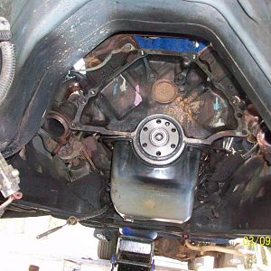 REAR MAIN AND PILOT BERAING..