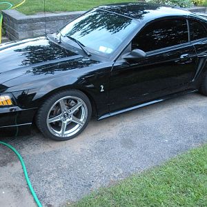 the saleen rims look sick on it