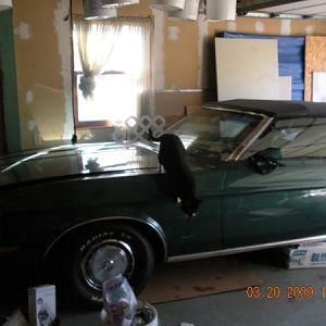 newman get off the stang