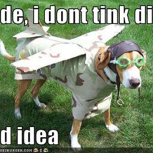 Good Idea Doggy