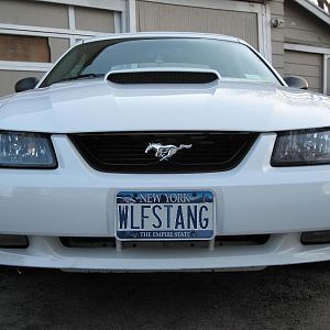 looking to see what the new plate will look like