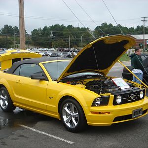 October, 09 - Central Arkansas Mustangs Show.