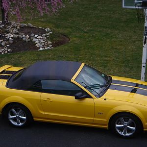 2006 - From my bedroom window on LI.