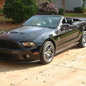 2010 GT500 Triple Blk Snake