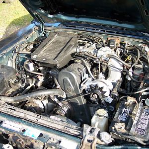 All in and hooked up