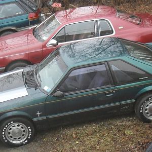 trying out the lastest wheel purchase