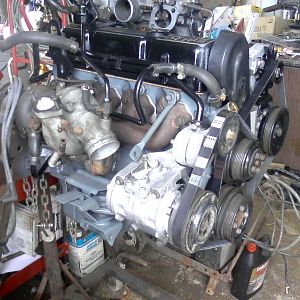 All ready for transplanting