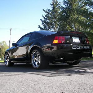 cobra 2010 007