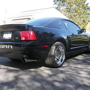 cobra 2010 013