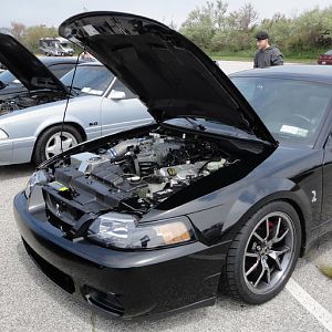 Montauk Cruise 5/2/10