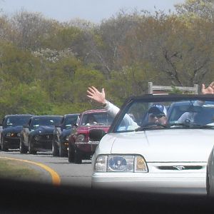 stang 92 is happy to be here.