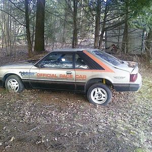 1979 mustang gt pace car