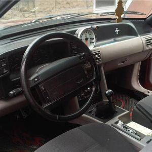 After a good long cleaning :)