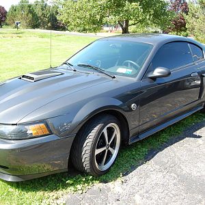 2004 Mach 1 DSG