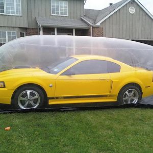 My indoor winter storage