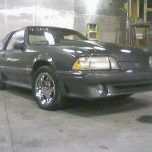 one of the many that got away