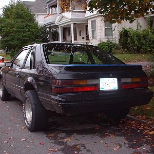 1984 some were in schnectady