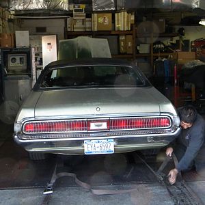 Franki getting strapped in