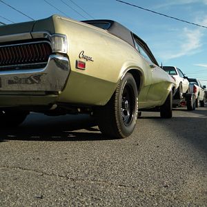 EPIC FrankenCougar SHOT