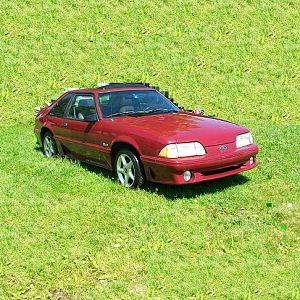 1988 Mustang GT