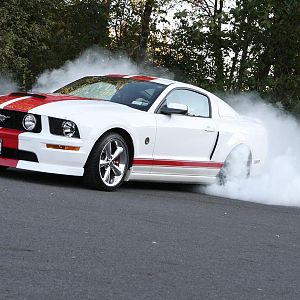 Killing some Nittos.