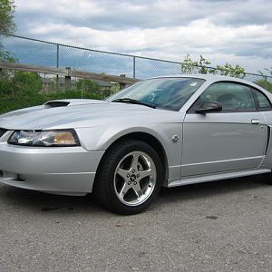 my mustang