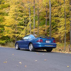Yeah that Ford I own.....with leaves