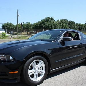 Neko- and his 2011 v6 rental