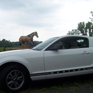 my car... i stopped at this statue outside some horse stables on the way home to take some pics.