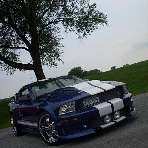 make a wish cruise 118