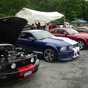 make a wish cruise 088