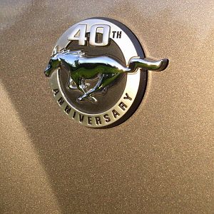 Took this day I took deliverly, setting sun made paint look brownish.