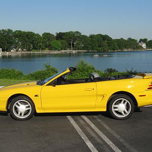 The Back of My School