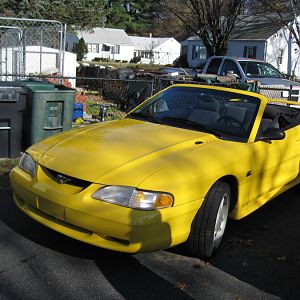 the day i bought her in massachusetts