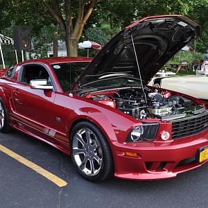 saleen1