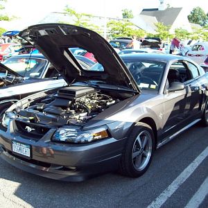 FIRST PLACE WINNER
AMERICAN MUSCLE CATEGORY
Adams Car Show June 8