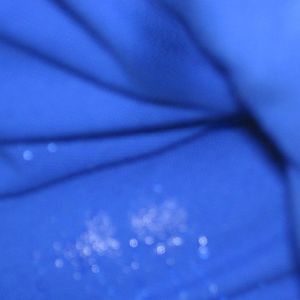 results of the water fight