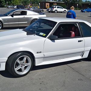 2010 mustang crew 008