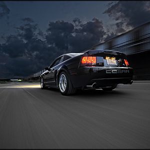 4838178498 586f300273