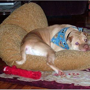 47b8df01b3127cce98548e5d004e00000037108AauWrhw1auT