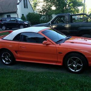 Orange Stang
