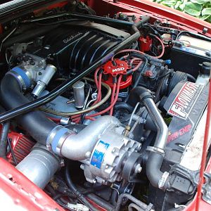 423hp and 490tq @ the rear wheels!