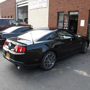 Day after I brought her home